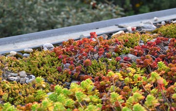 the cost of Hook green roof installation