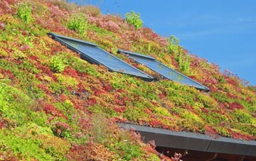 Hook living roof systems