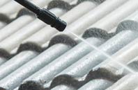 rated Hook roof cleaning companies